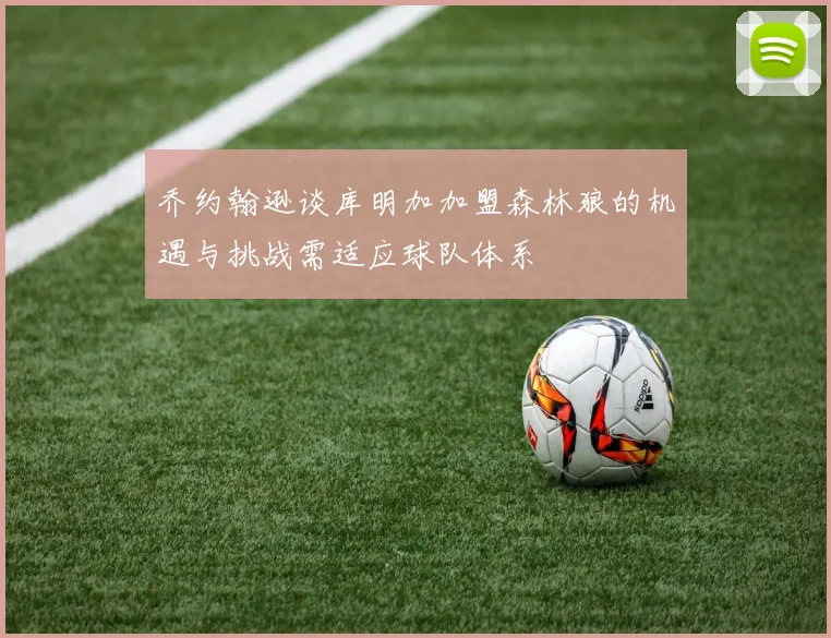 乔约翰逊谈库明加加盟森林狼的机遇与挑战需适应球队体系