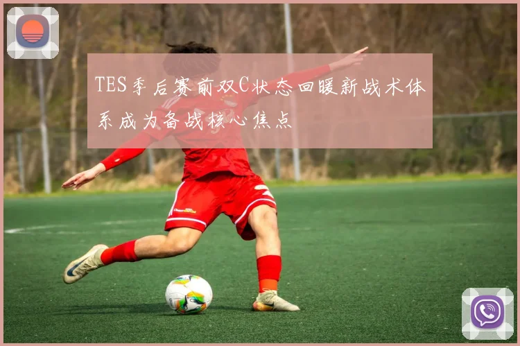 TES季后赛前双C状态回暖新战术体系成为备战核心焦点